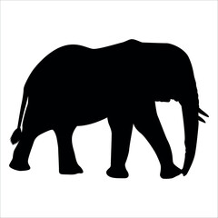 Animal Elephant silhouette vector illustration