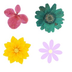 "Elegant Flower Illustrations Bundle: Hand-Drawn Floral Designs for Creative Projects"