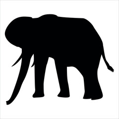 Animal Elephant silhouette vector illustration