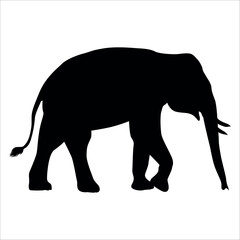 Animal Elephant silhouette vector illustration