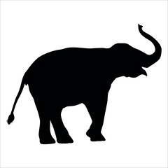 Fototapeta premium Animal Elephant silhouette vector illustration