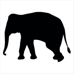 Fototapeta premium Animal Elephant silhouette vector illustration