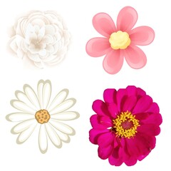 "Elegant Flower Illustrations Bundle: Hand-Drawn Floral Designs for Creative Projects"