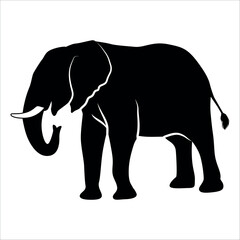 Animal Elephant silhouette vector illustration