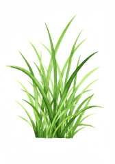 背景のための緑の草のパターン