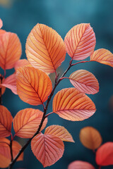 Autumnal Branch Displays Vivid Orange Leaves