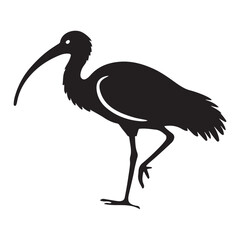 Ibis Bird Silhouette Vector Illustration