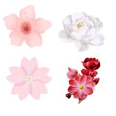 "Elegant Flower Illustrations Bundle: Hand-Drawn Floral Designs for Creative Projects"
