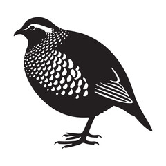 Elegant Silhouette Illustration of a Scaly Quail Bird