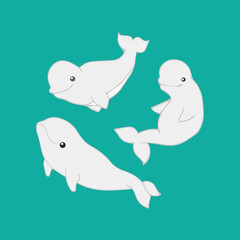 Set of beluga whales