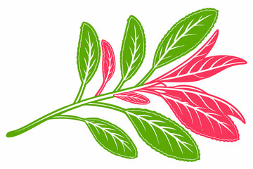 Heather Flower, Clover Blossom, Redwood Branch, Violet Bloom Silhouette on Solid White Background