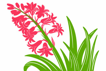 Heather Flower, Clover Blossom, Redwood Branch, Violet Bloom Silhouette on Solid White Background