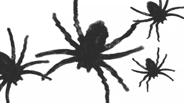 Big Black Hairy Spiders On White Looped Background. Creepy Halloween Animation. Shaking, Fast Changing Spooky Halloween Background Loop with Tarantulas.