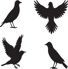 Majestic Bird Silhouettes: Perfect Vectors for Creative Projects.