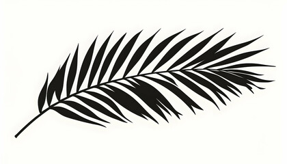 Obraz premium Tropical palm leaf silhouette against a clear sky AI Generated