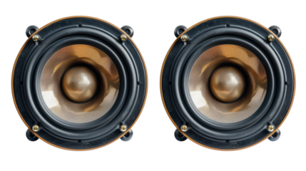 
Pair of professional modern audio speakers on transparent background 