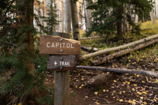 Capitol Trail sign along the Capitol Ditch trail near Aspen, Colorado amid aspen and pine trees on a crisp autumn day in September
