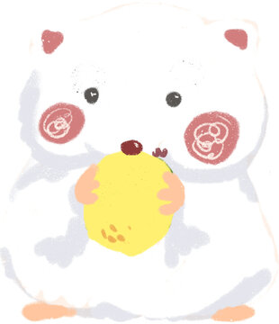 White Hamster