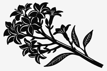 Poppy Petal Silhouette on Solid White Background - Minimalist Art Inspiration