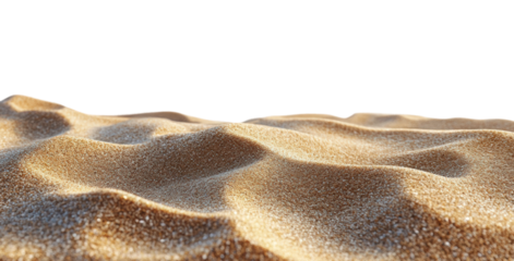 Warm golden sand spreads across the beach under bright sunlight creating a serene and inviting atmosphere isolated on transparent background