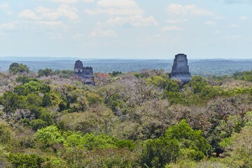 The incredible views from Tikal's Temple IV