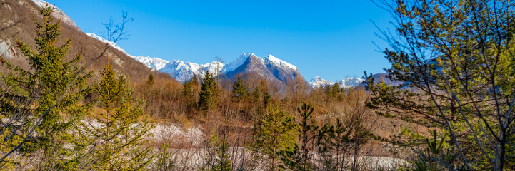 Fototapeta premium Beautiful alpine mountain landscape with conifers trees and snow capped mountain range. Banner 3:1