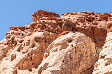 Fototapeta premium Rock formation Cohab Canyon in Capitol Reef National Park, Utah, USA
