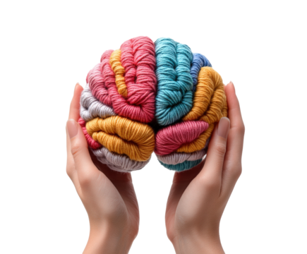 Colorful yarn brain model held in hands demonstrating creativity and crafting potential isolated on transparent background