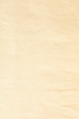 Vertical brown kraft crumpled paper with details texture