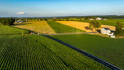 Fototapeta premium Lush green and golden fields stretch across the landscape under a clear blue sky. A quaint farmhouse sits beside the road, showcasing rural beauty at sunset.