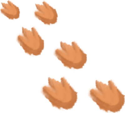 dinosaurs 