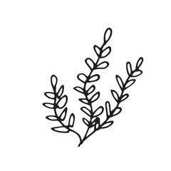 seaweed sea ocean black and white vector illustration doodle set isolated on white background base for textile typography postcard design