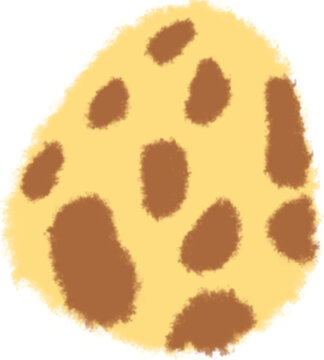 Egg dinosaurs 