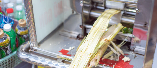 Panorama view discharging bagasse dry pulpy fibrous sugar cane fiber from street food drink vendor...