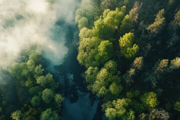 A serene scene of a river meandering through a vibrant green forest, perfect for use in travel or nature-themed projects