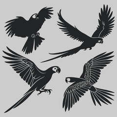 various pose of parrot silhouette vector design art and illustration