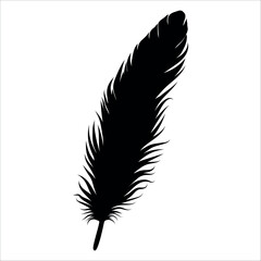 Bird Feather silhouette vector illustration