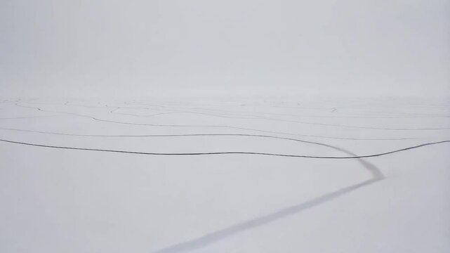 Black Lines Moving on Infinite White Background