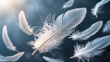 Obraz premium close-up on big white feather in mid-air with other feathers blurred on background