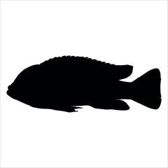 Black Fish silhouette vector illustration
