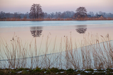 Breeding pond, trees and reeds at sunset © Stanislawski