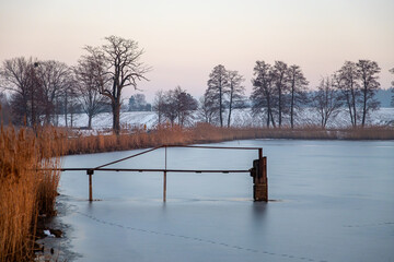 Breeding pond and reeds at sunset © Stanislawski