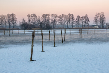 Breeding pond and trees at sunset © Stanislawski