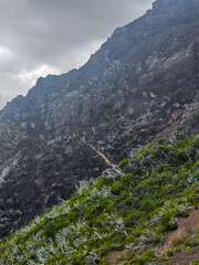 PR1 Madeira island Portugal forest fires dramatic contrast burnt earth green trees rough mountains cliff hill fog mist eco nature bonding wilderness hiking trekking trail path no people vertical photo