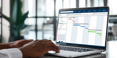 Project planning software for brisk business project management on the computer screen showing...