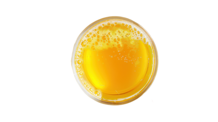 
Mimosa glass drink on transparent background 