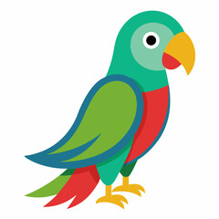 parrot on a white background