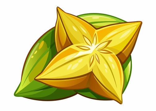 Illustration of the carambole fruit