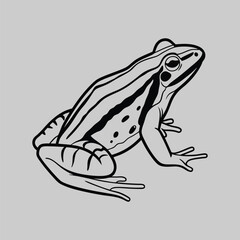 frog line art silhouette vector design art and illustration