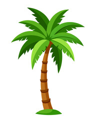 Cuban royal palm  tree vector 
